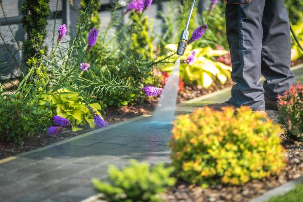 Trusted Mundelein, IL Pressure Washing Services Experts