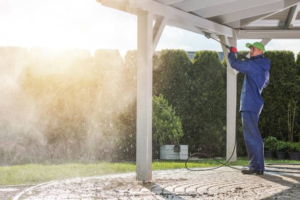 Best Soft Washing  in Mundelein, IL